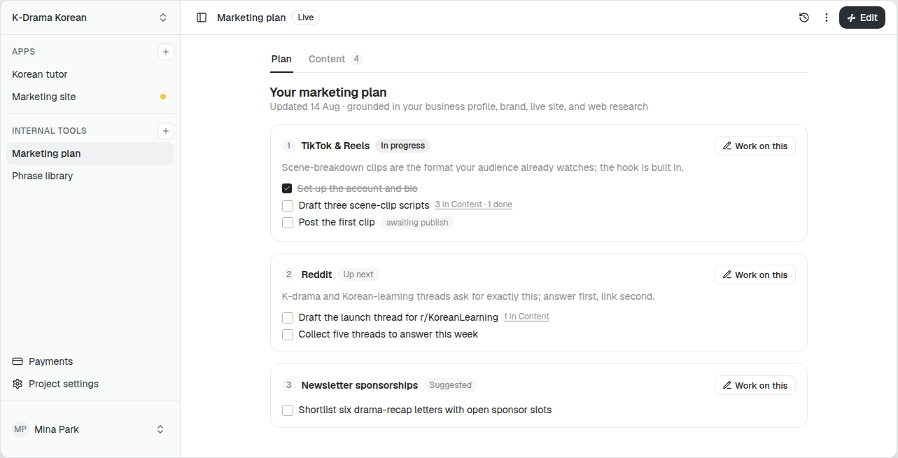 A marketing plan: TikTok and Reels in progress, Reddit up next, newsletter sponsorships suggested