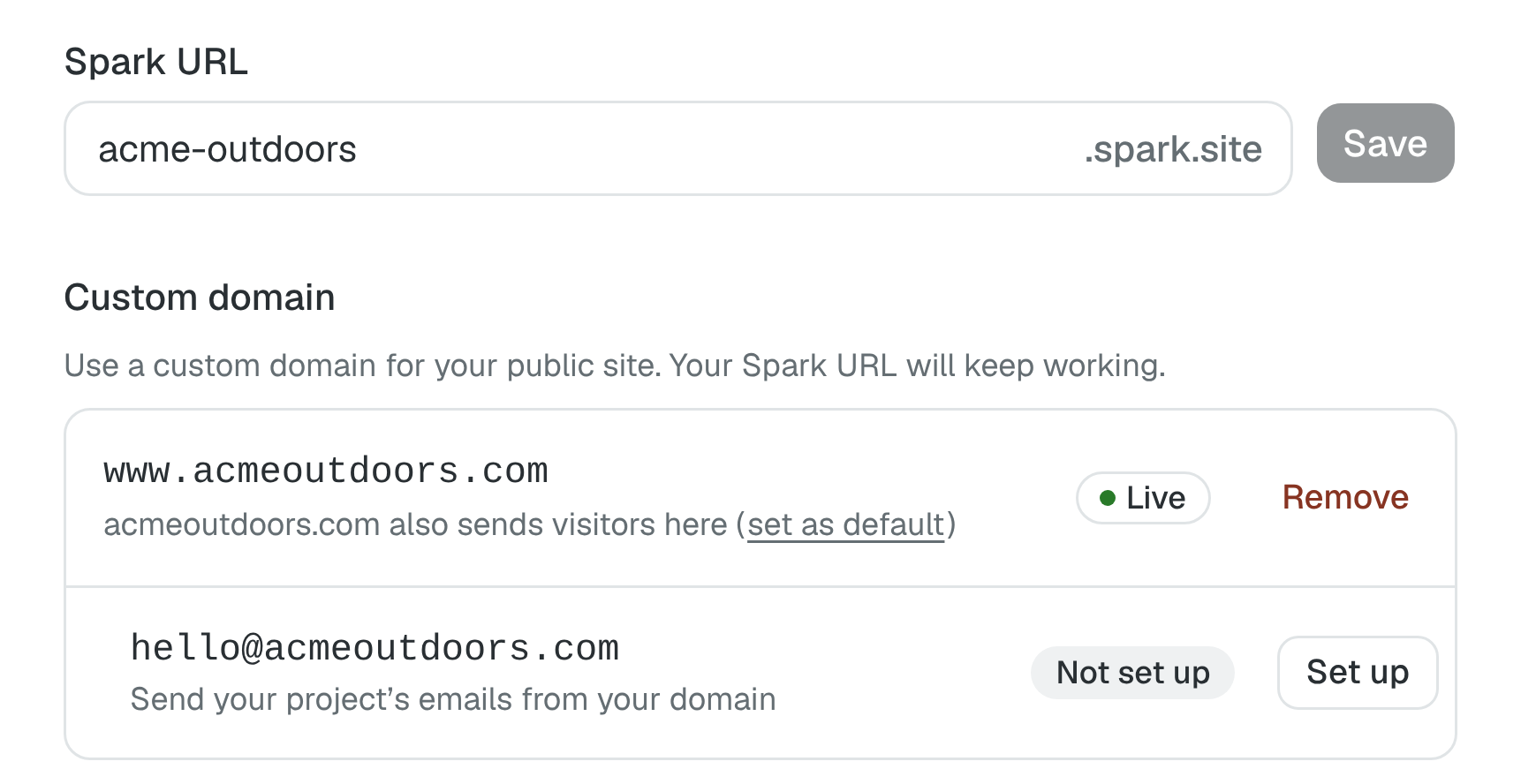 Project settings showing the Spark URL field, and a custom domain marked Live with an email address below it.